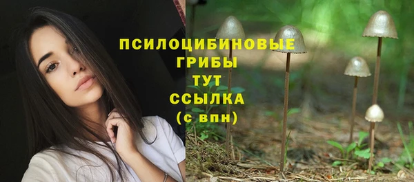 альфа пвп Баксан