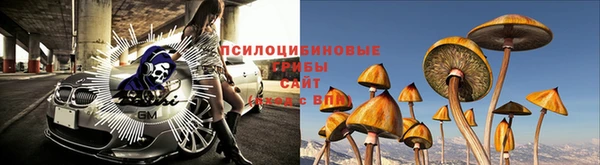 ПСИЛОЦИБИНОВЫЕ ГРИБЫ Балабаново